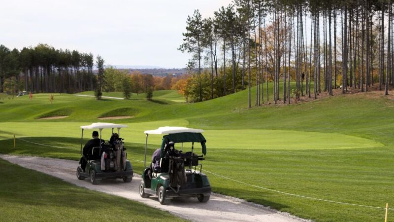 How Much is a Golf Cart?: What You Need to Know Before You Buy