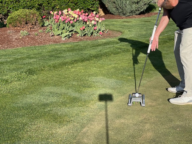 Broomstick Putters for Seniors