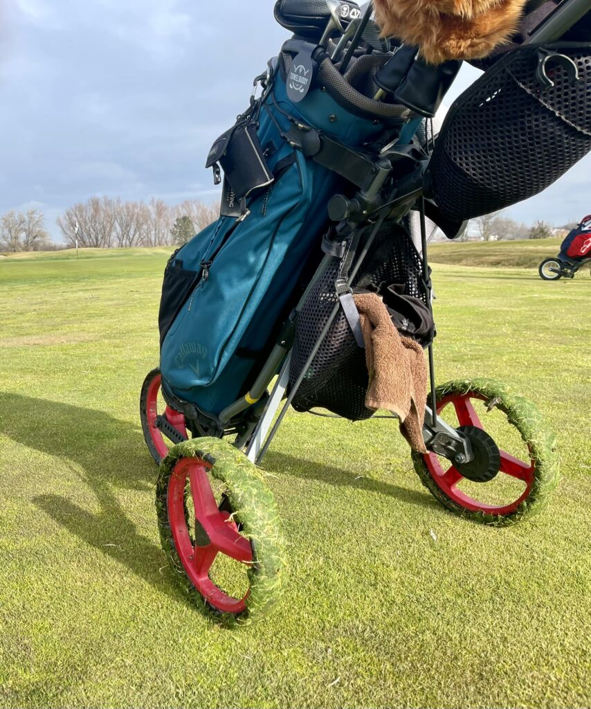 Goose Poop Is Everywhere