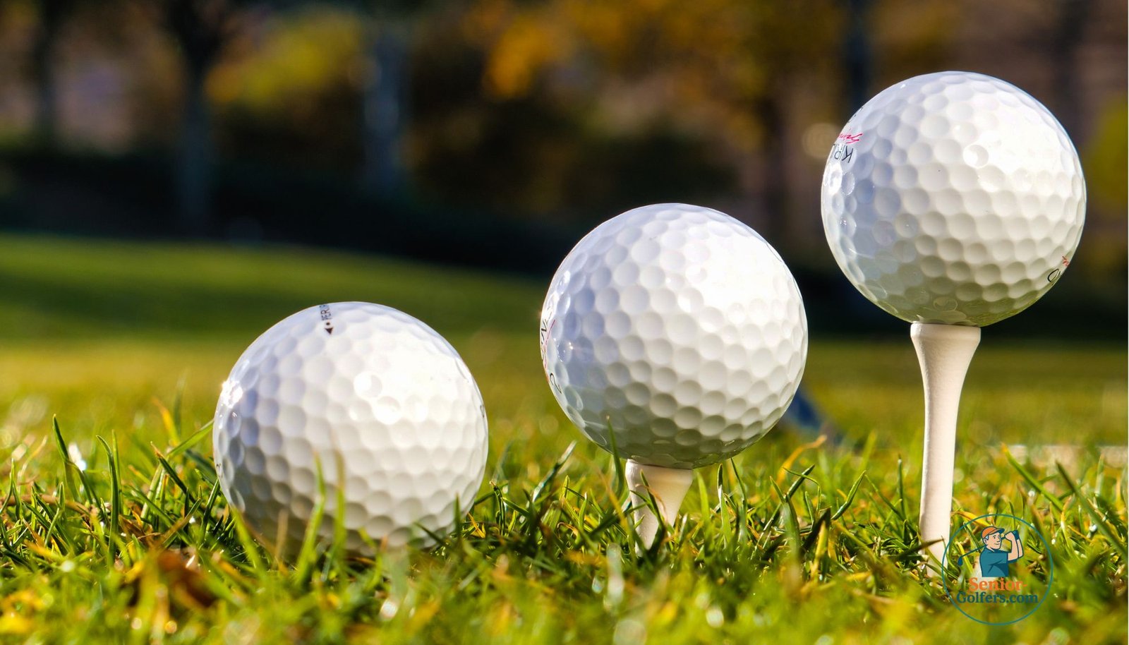 Driver Tee Height for Senior Golfers